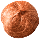 hazelnut 2