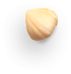 hazelnut 4