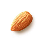 hazelnut 2