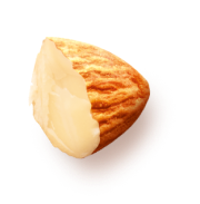 almond 2