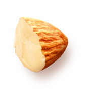 almond 2