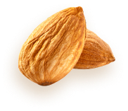 Almond 3