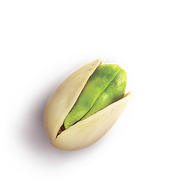 hazelnut 1