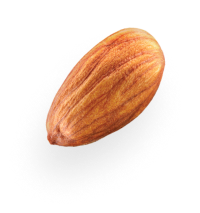 almond 1