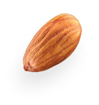 almond 1