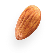 almond 2
