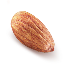 Almond 1