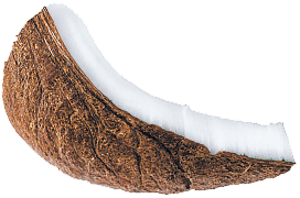 coconut 3