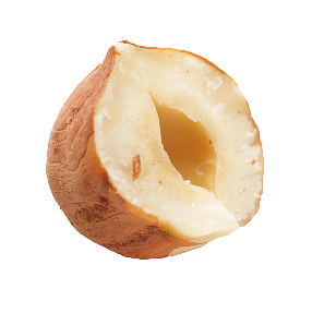 hazelnut 2