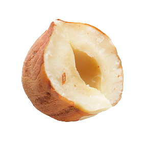 hazelnut 2
