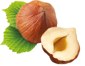 Hazelnut 1