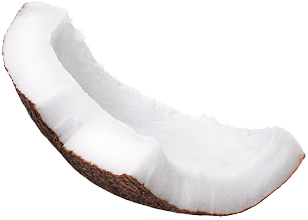 coconut 1