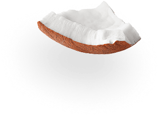 coconut 4