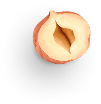 hazelnut 3