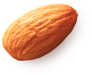 almond 2