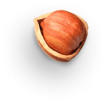 hazelnut 1