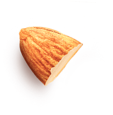 almond 1