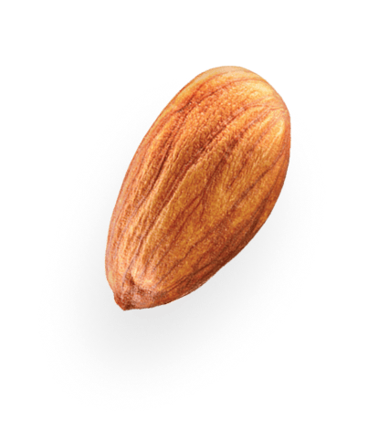 almond 2