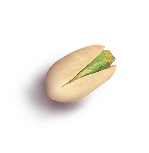 pistachio 2