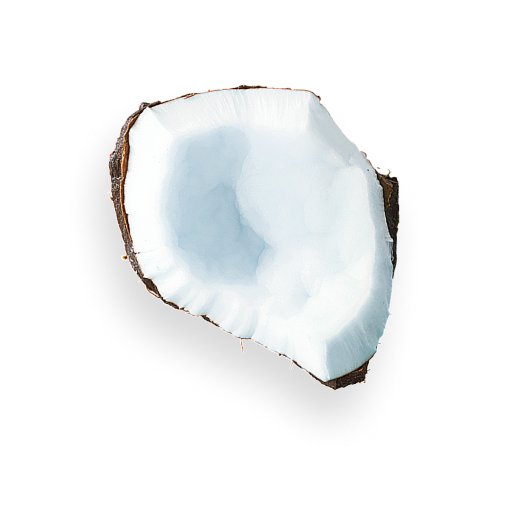 Coconut 1