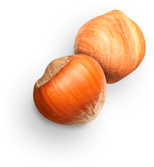 hazelnut 5