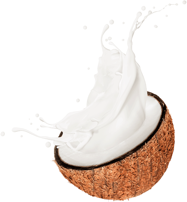 coconut 5