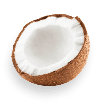 coconut 1