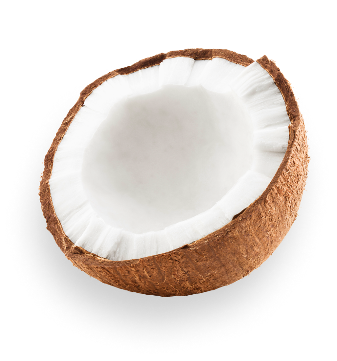 coconut 1
