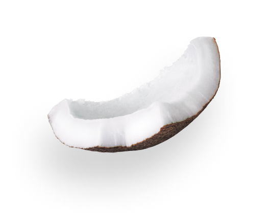 coconut 2