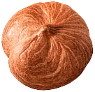 hazelnut 2