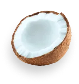 Coconut 1