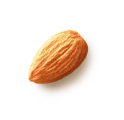 hazelnut 2