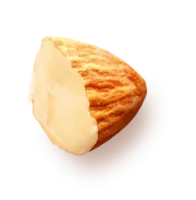 almond 2
