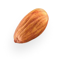 almond 1