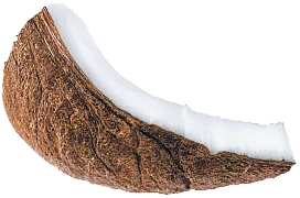 coconut 3