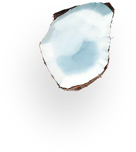coconut 2