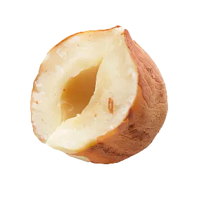 hazelnut 2