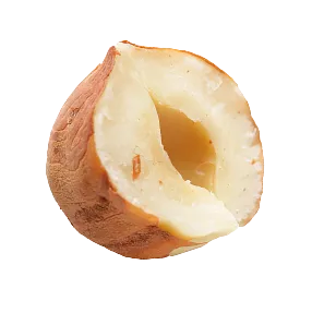 hazelnut 2