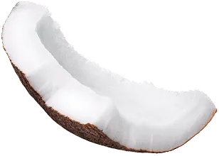 coconut 1