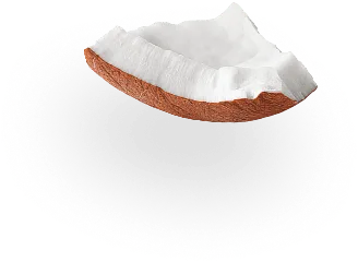 coconut 4