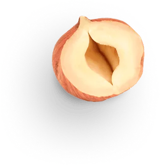 hazelnut 3