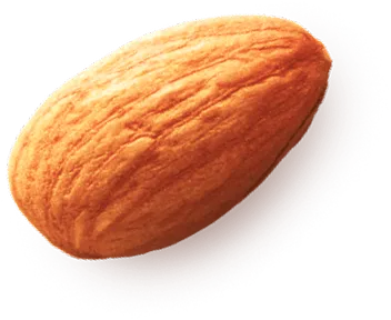 almond 2