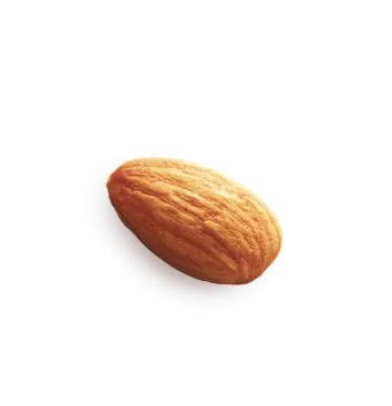 Almond 3