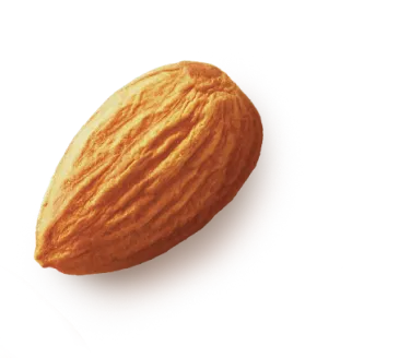 Almond 2