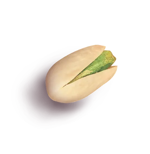 pistachio 2