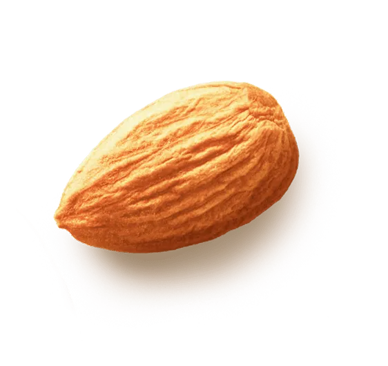 almond 5