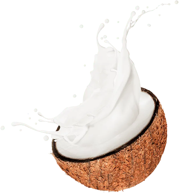 coconut 5