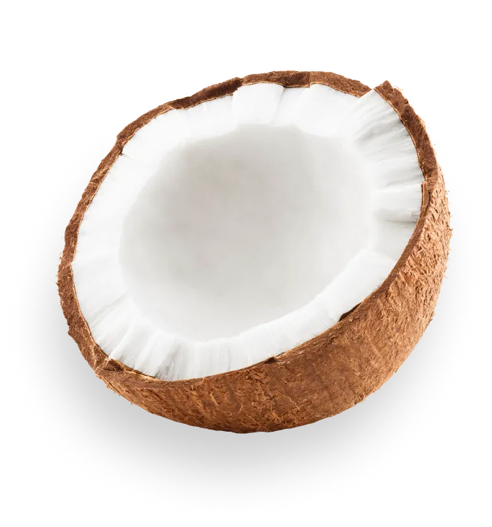 coconut 1