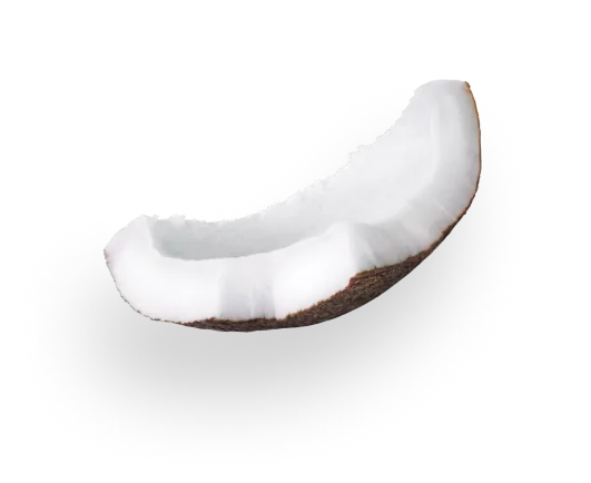 coconut 2